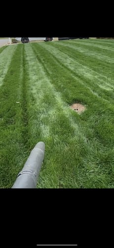 Customer photo review of GCI Turf 5-0-5