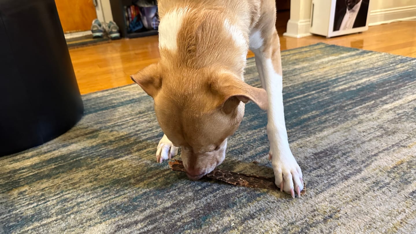 Customer photo review of 12 Inch Beef Jerky Strip