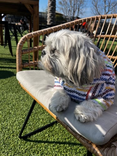 Customer photo review of Playa Poncho - Surprise Color