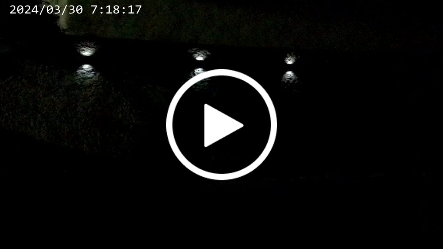 Customer video review of Pack de 2 focos led solares decorativos Luz Dual para jardin