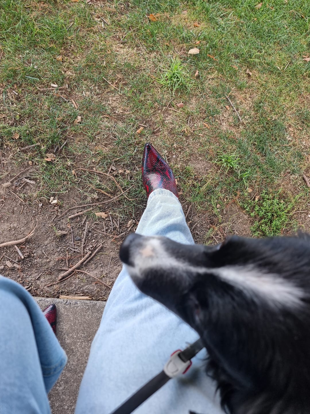 Customer photo review of Viper Red Ankle Boot