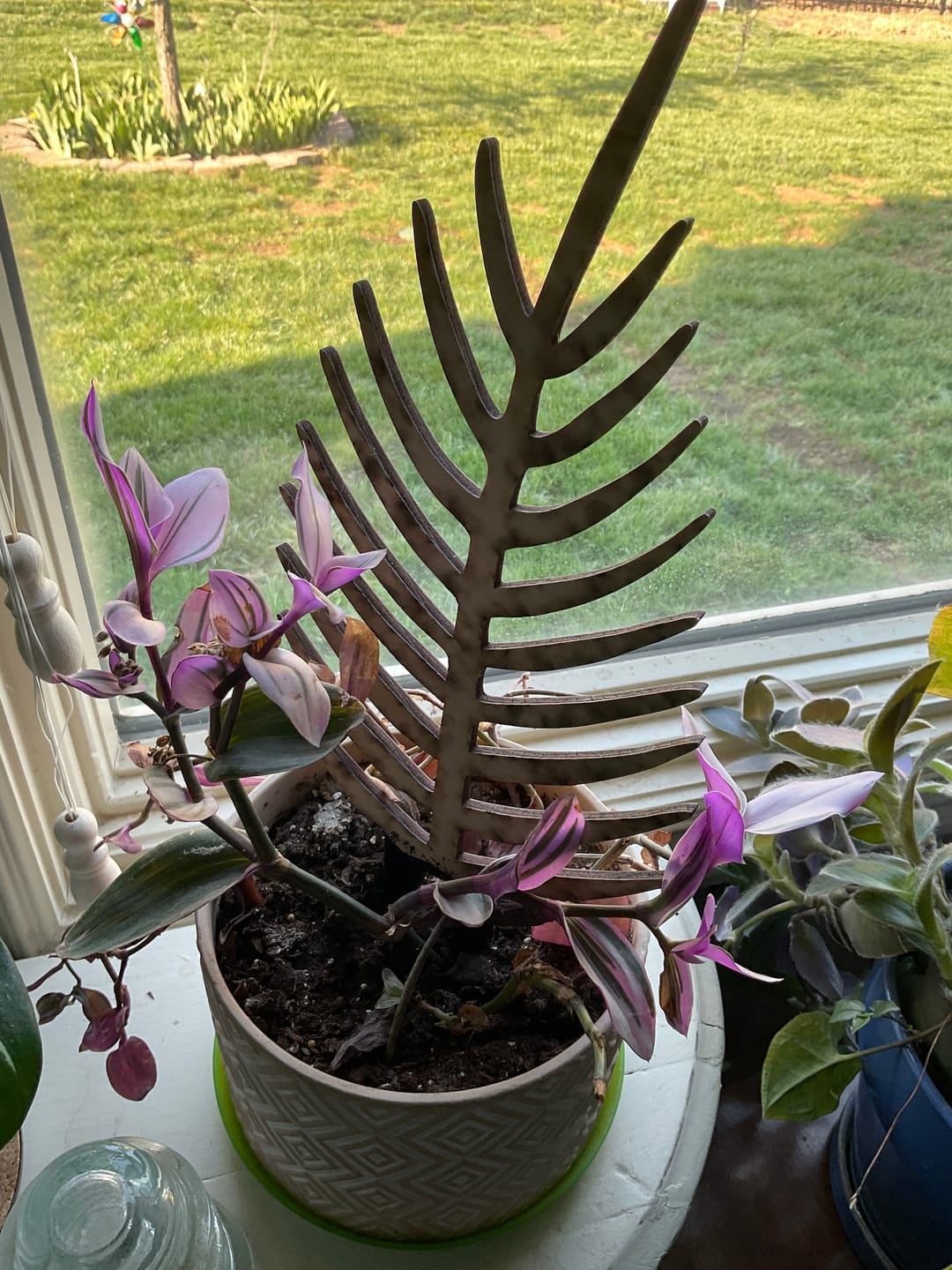 Customer photo review of BARE™ Palmella™ - Customizable wooden plant support - Inspired by the Palm leaf