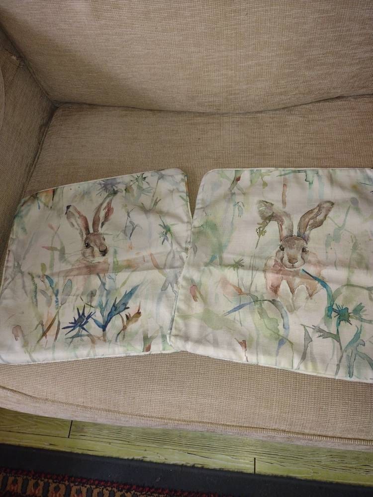 Customer photo review of Jack Rabbit Voyage Maison Cushion Cover