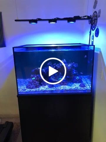 Customer video review of Illumagic Pixel