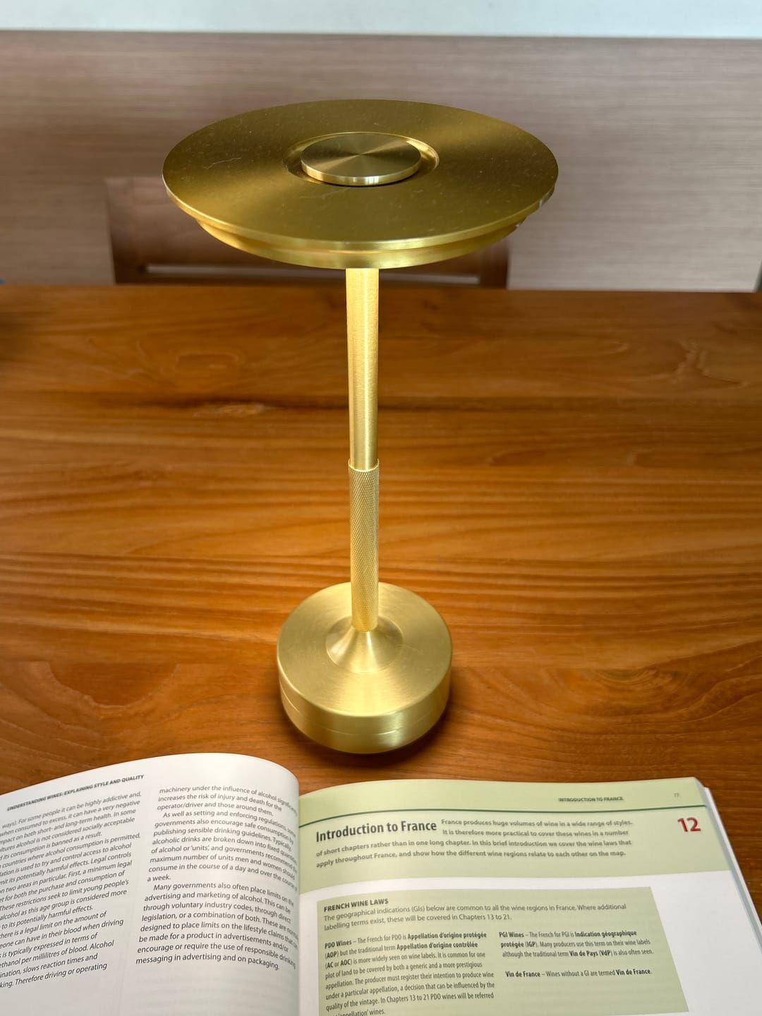 Customer photo review of Ambient™ Metallic Cordless Table Lamp
