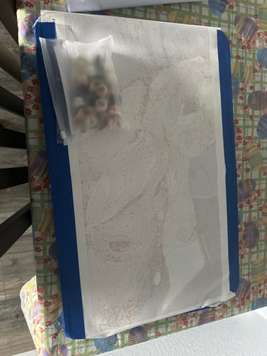 Customer photo review of Custom Paint By Numbers Kit - Upload Your Photo - Brush Set Included