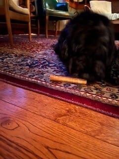 Customer photo review of 5-6 Inch Standard Collagen Wrapped in Bully Stick