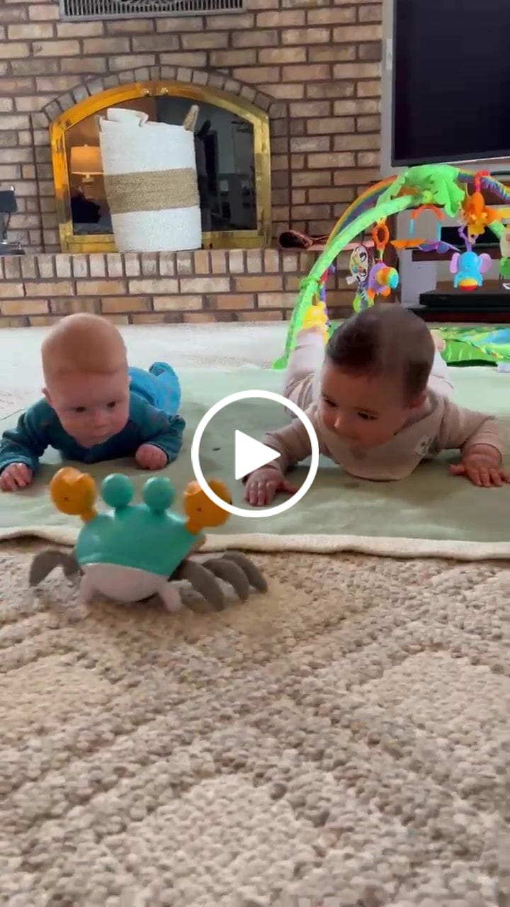 Customer video review of The Crawly Crab™