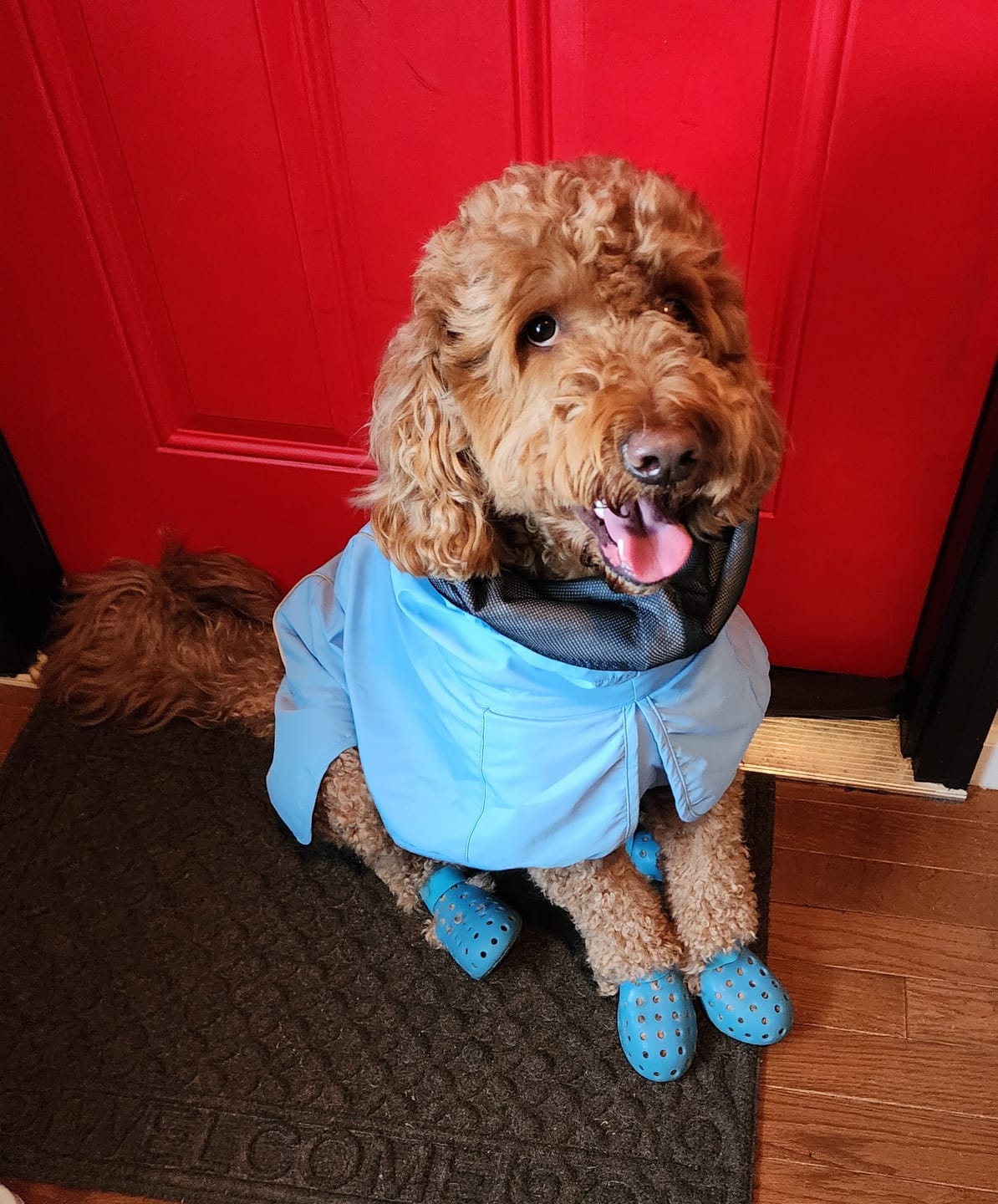 Customer photo review of Nylon Rainbreaker
