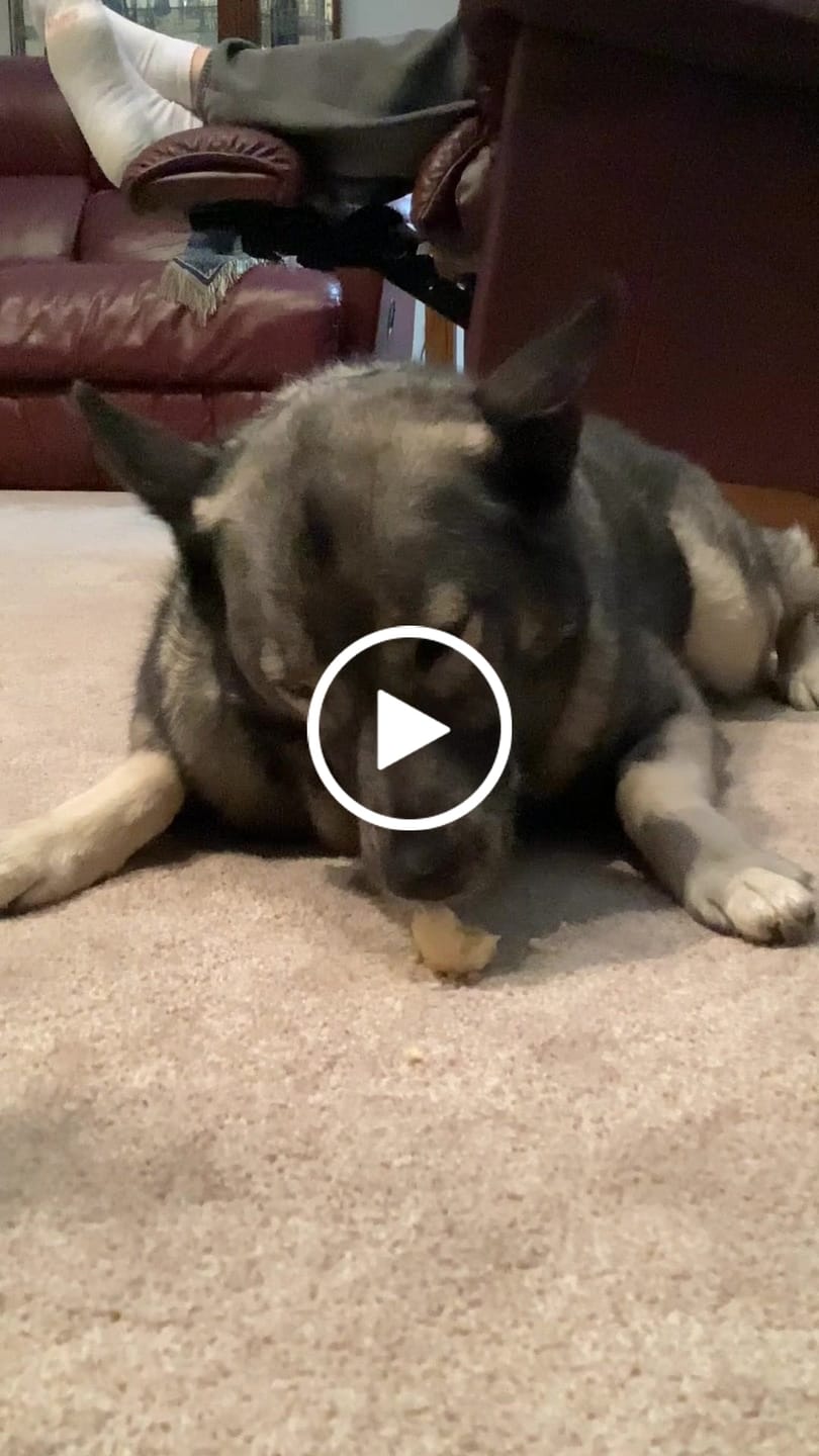 Customer video review of Himalayan Yak Cheese Chew Dog Treat