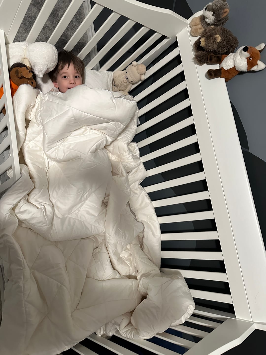 Customer photo review of Wool Comforter