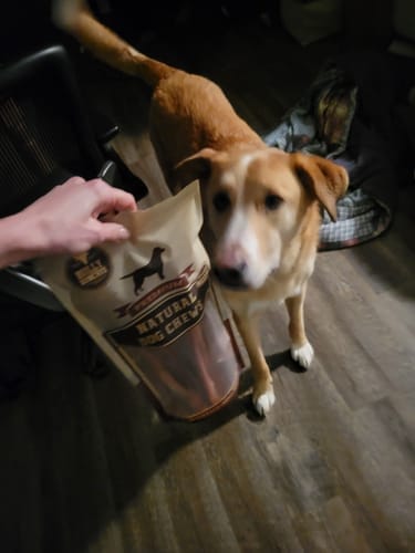 Customer photo review of 5-6 Inch Standard Collagen Wrapped in Bully Stick
