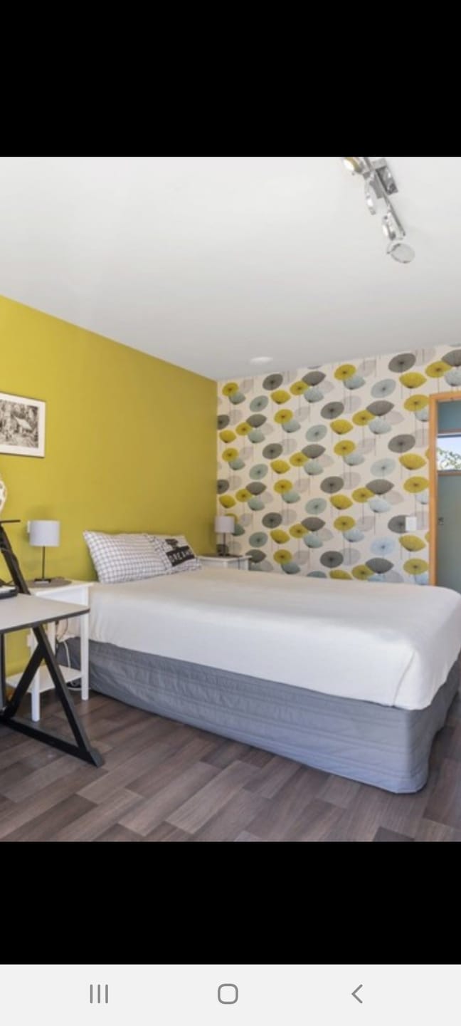 Customer photo review of Dandelion Clocks Wallpaper - 6 x Colours