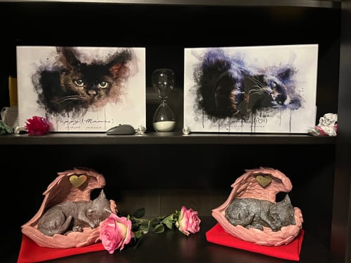 Customer photo review of Wasserfarben Pawtrait