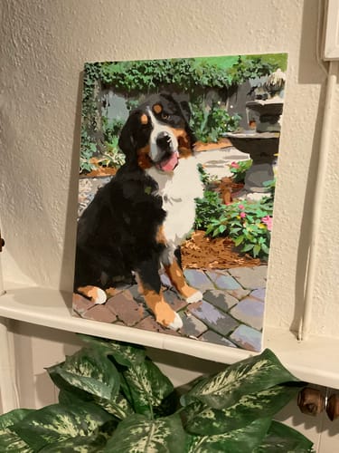 Customer photo review of Paint Your Pet by Numbers Featuring Custom Paint by Numbers Kit