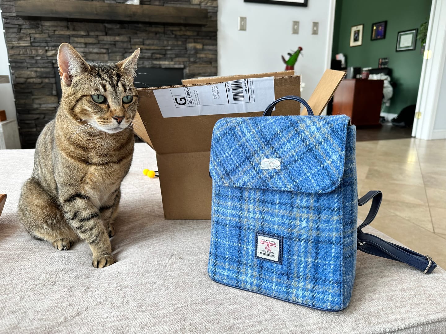 Customer photo review of Harris Tweed Mini Backpack