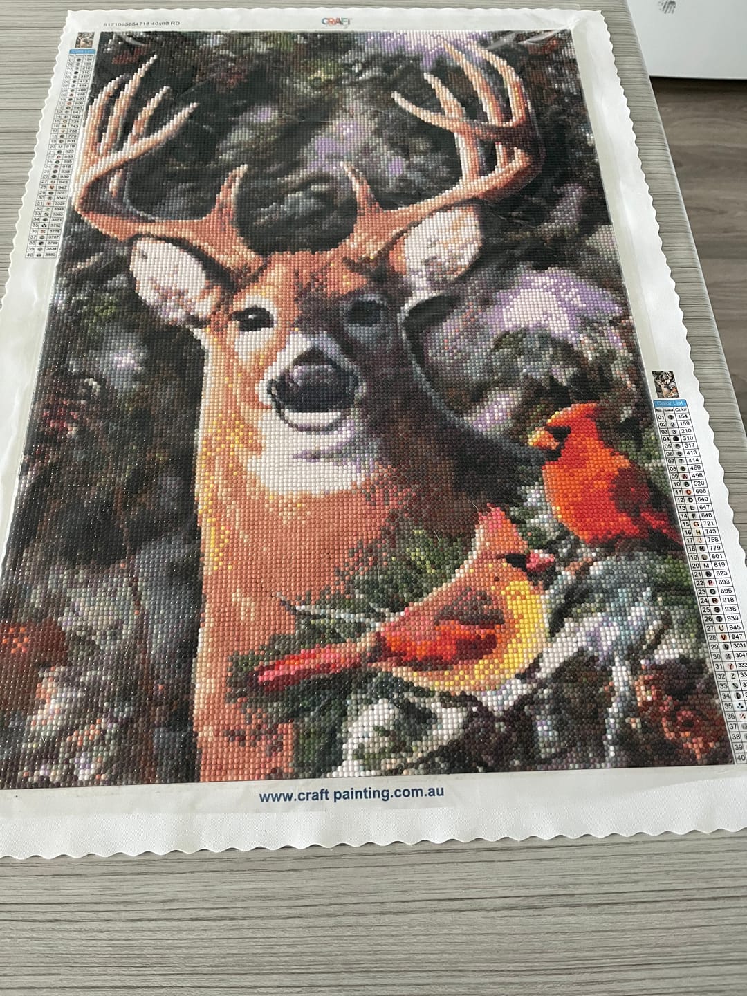 Customer photo review of Full Drill - 5D Diy Diamond Painting Kits Deer Birds