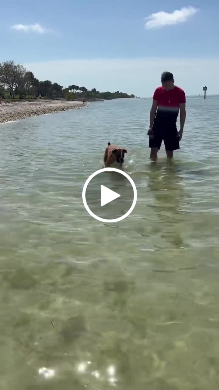 Customer video review of Wild Alaskan Salmon Oil for Dogs | Omega 3, 6 & 9 | Petsmont Omega Love+