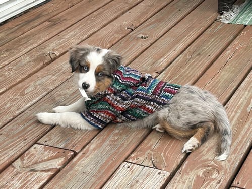 Customer photo review of Playa Poncho - Surprise Color