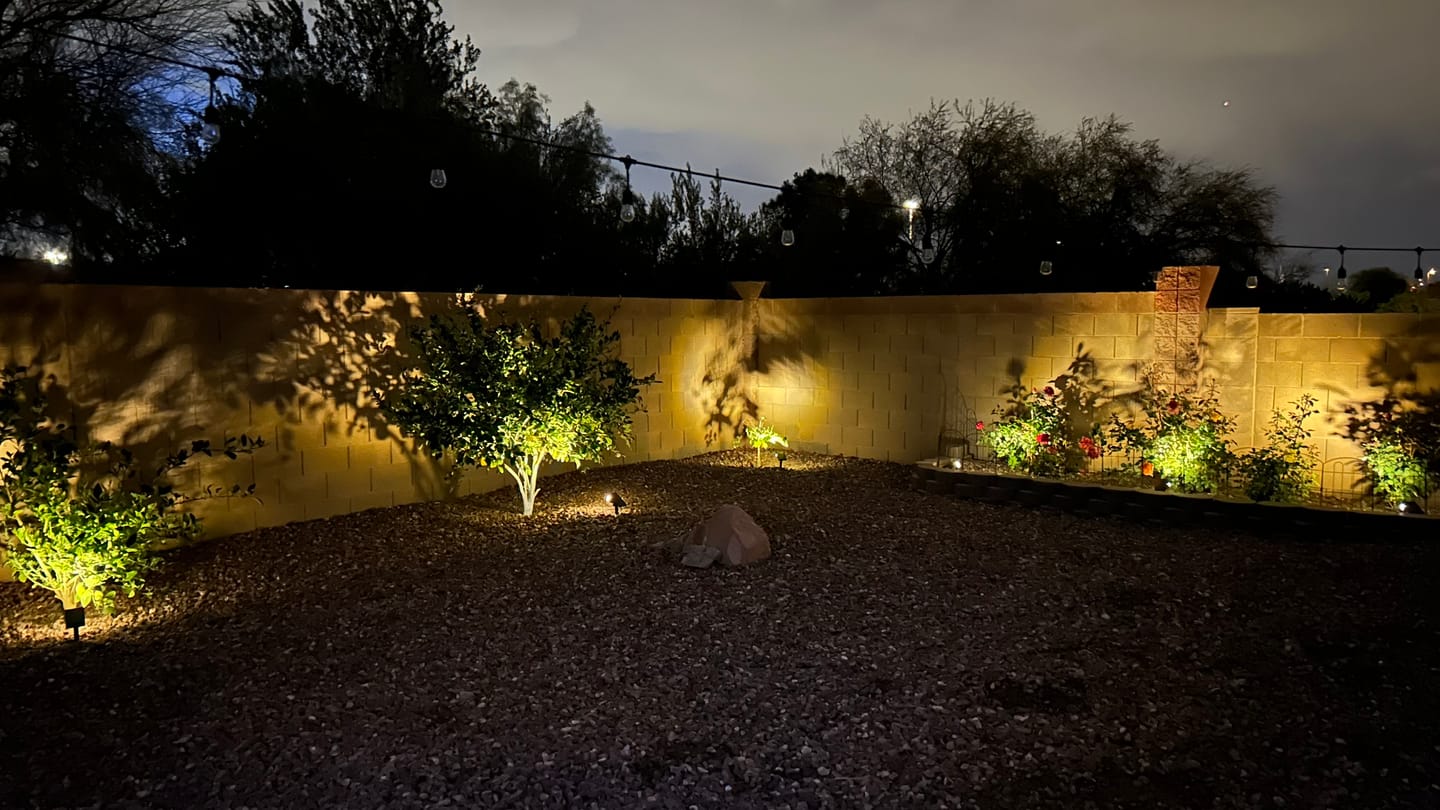 Customer photo review of TSUN Solar Spotlights For Trees Warm White