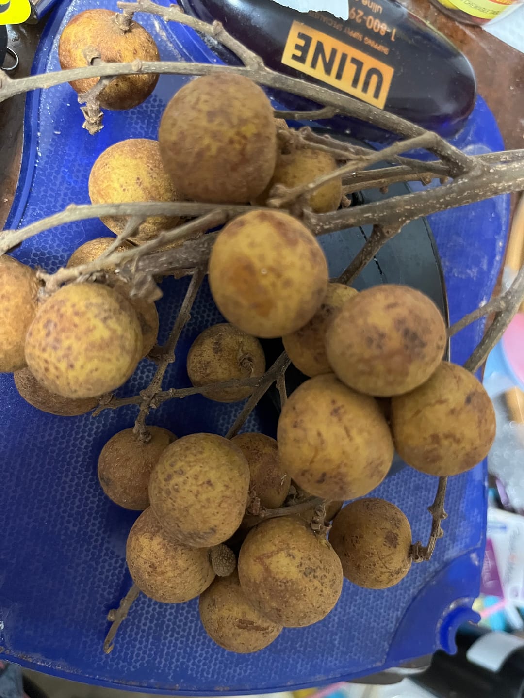Customer photo review of Longan Box *Pre-Order*
