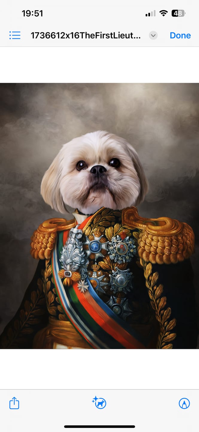 Customer photo review of The First Lieutenant: Custom Pet Portrait