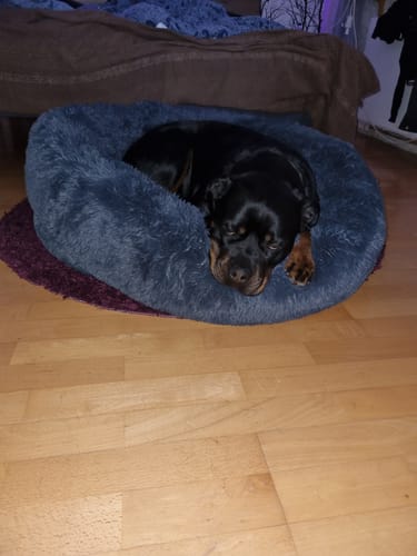 Customer photo review of CalmBed - Motverkar stress & hjälper mot ångest