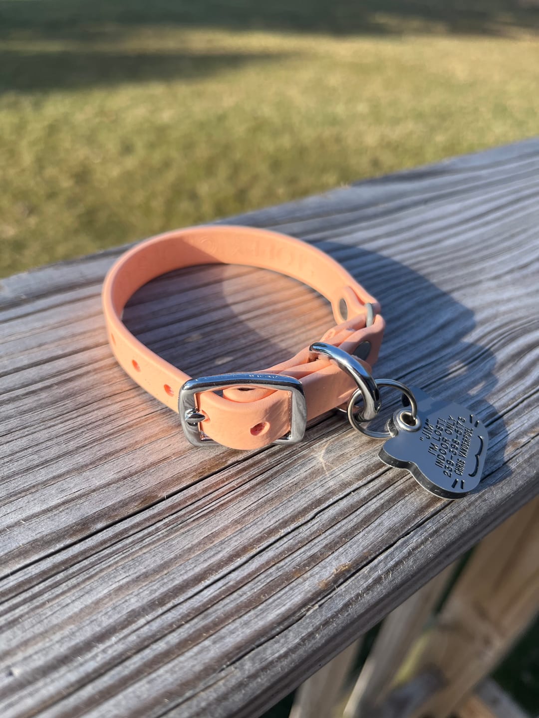 Customer photo review of Katmai Collar