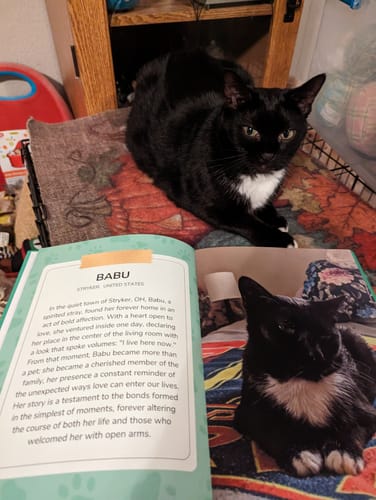Customer photo review of Cutest Pets of the Month 2024 Photobook