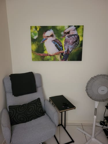 Customer photo review of Kookaburra Pair