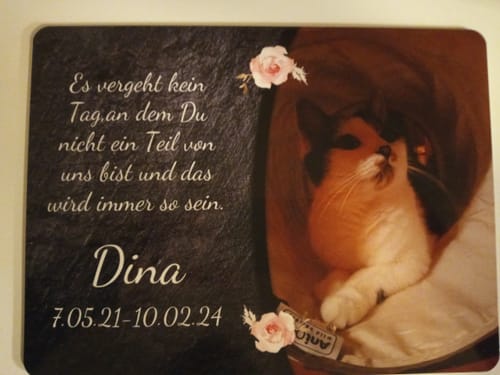 Customer photo review of Katzen Gedenktafel mit Foto & Spruch (UV- & Wetterfest)