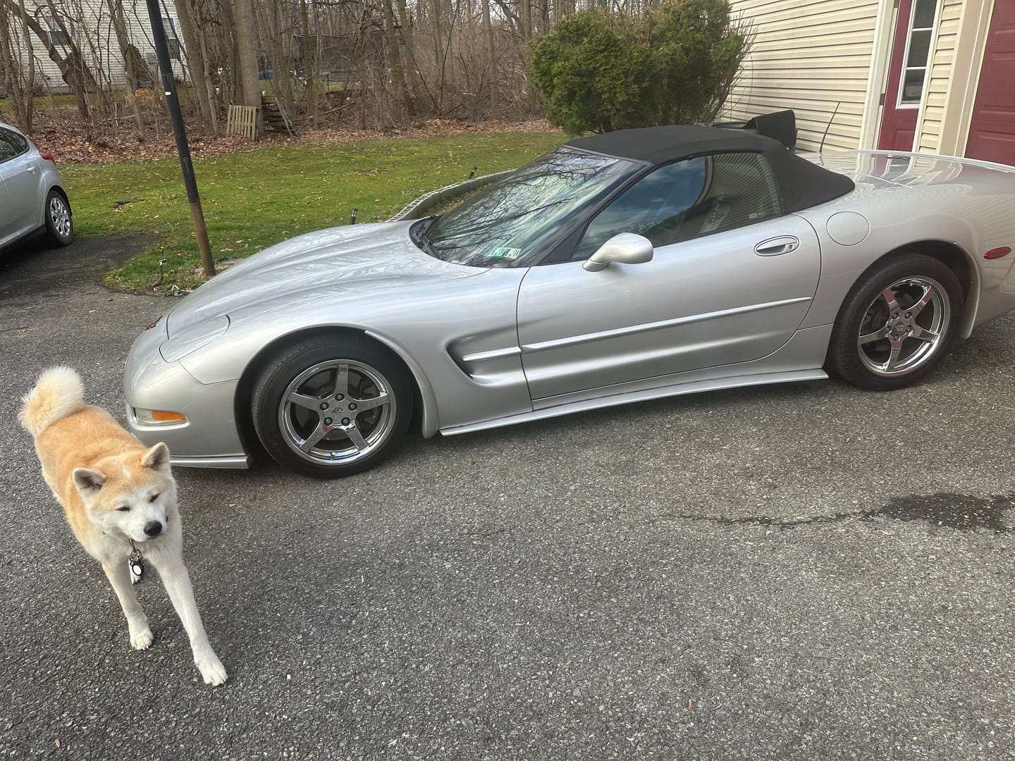 Customer photo review of Chevrolet Corvette C5 ZR1 Side Skirts Rocker Panels