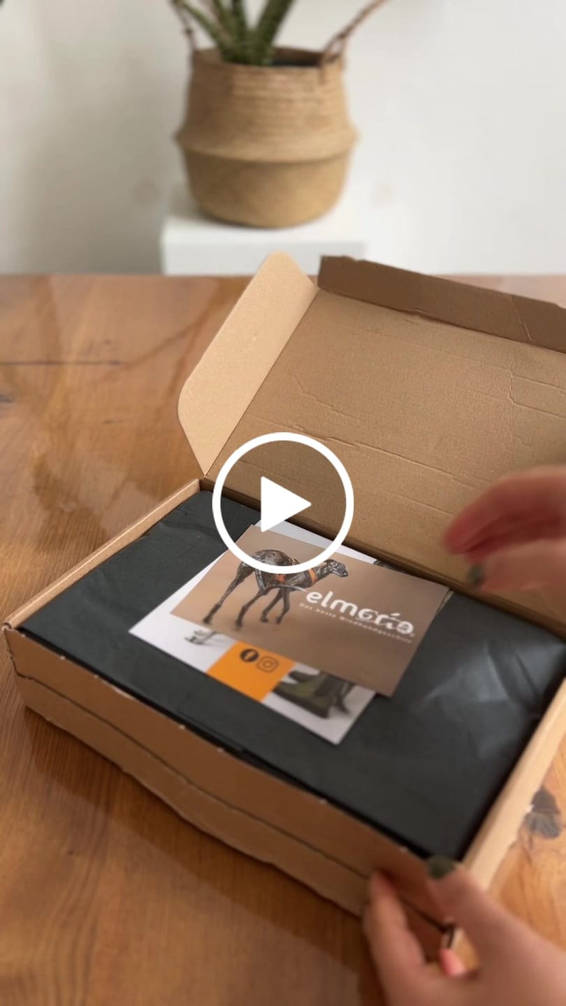 Customer video review of Hundegeschirr PRO "Mountain Green"
