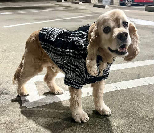 Customer photo review of Playa Poncho - Surprise Color