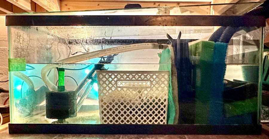 Customer photo review of Scuba Contactless Heaters