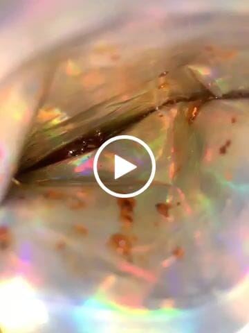 Customer video review of Live Hash Rosin Watermelon Chamoy Gummies