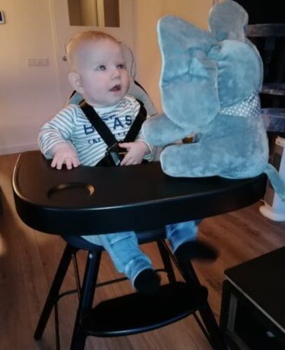 Customer photo review of Peek-A-Boo Elephant