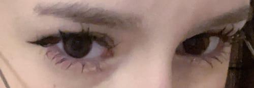 Customer photo review of One&Only Kristin Plus - brown