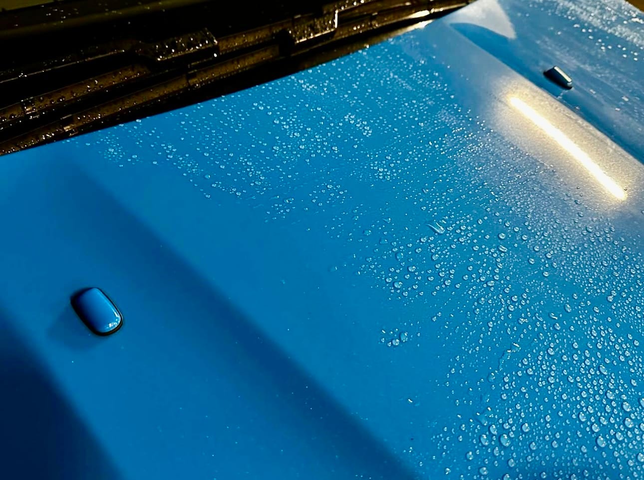 Customer photo review of Genuine Ford Heated 'Mist' Washer Jets (Painted)