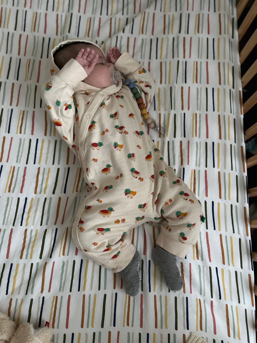 Customer photo review of Weather For Ducks Reversible Hooded Snug As A Bug Suit