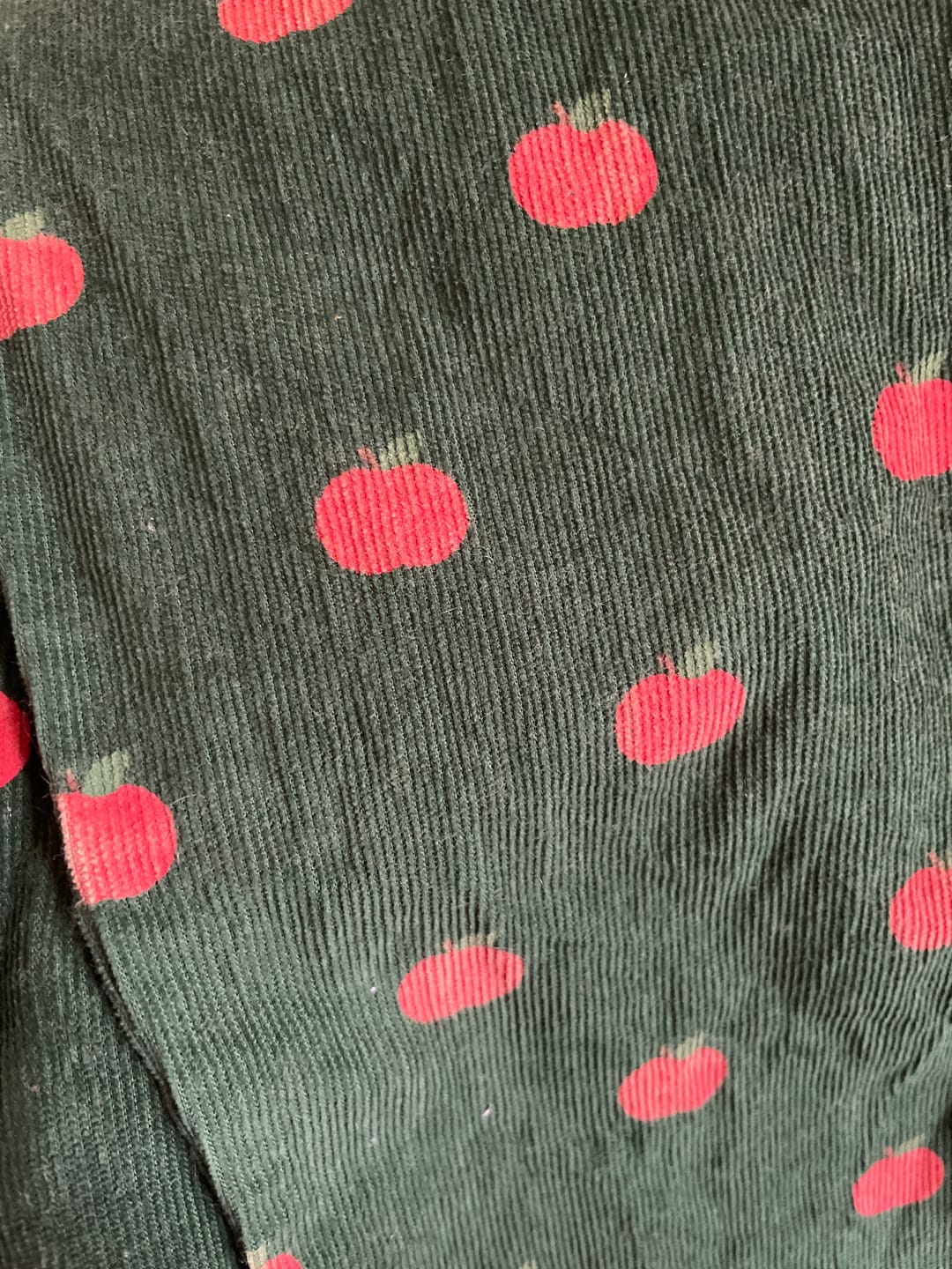 Customer photo review of Apple Corduroy Pull On Trousers