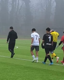 Customer photo review of FLAIR MINI PADS