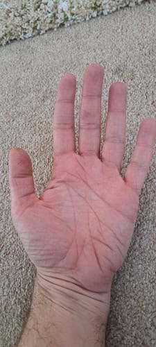 Customer photo review of Golden Sea Moss