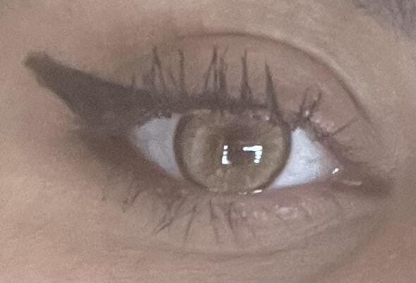Customer photo review of BELLE | OLIVE BROWN