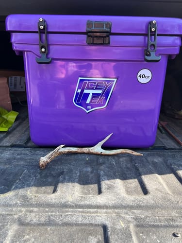 Customer photo review of Route Package Protection