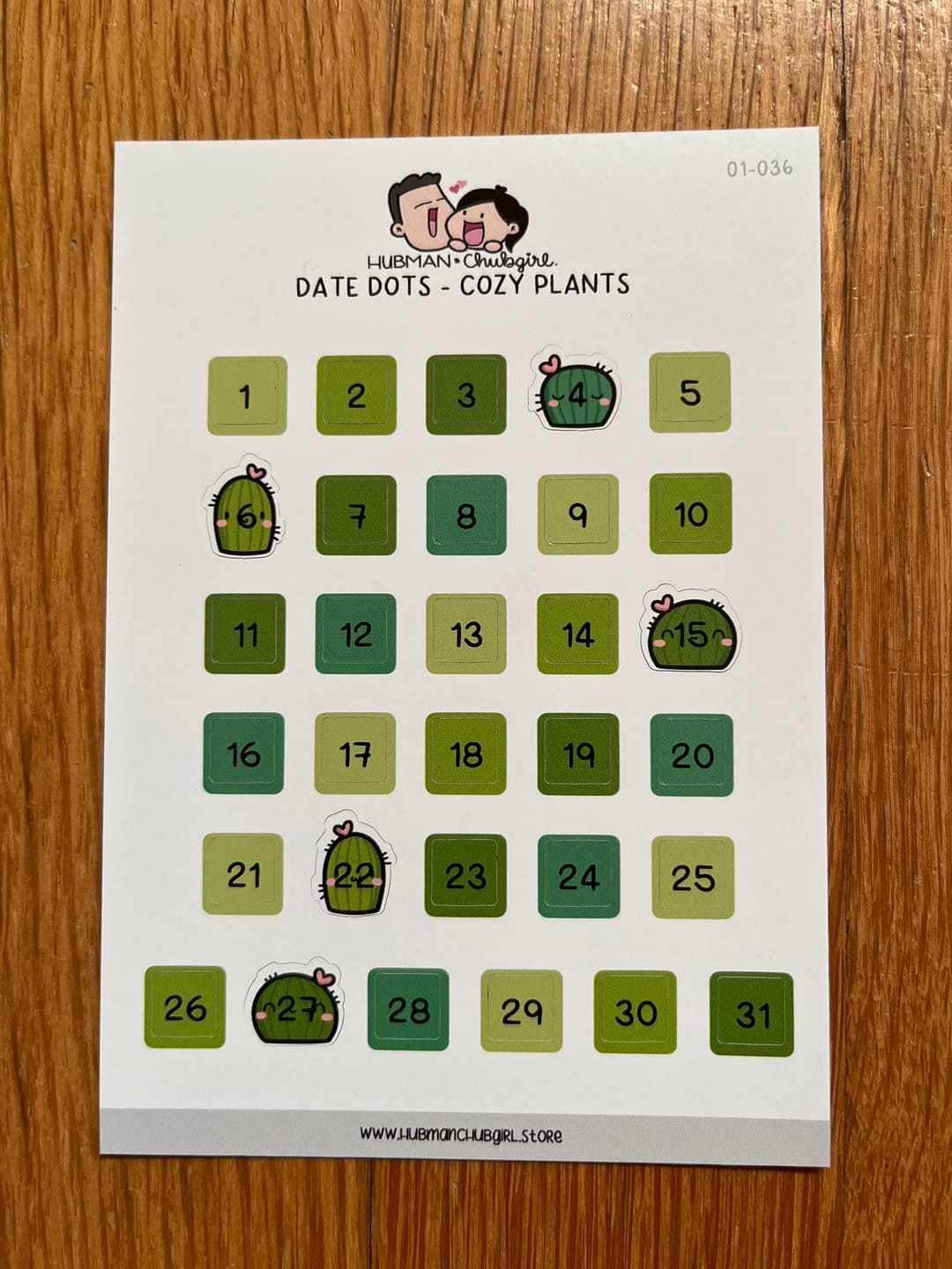 Customer photo review of Date Dots - Cozy Plants Planner Stickers
