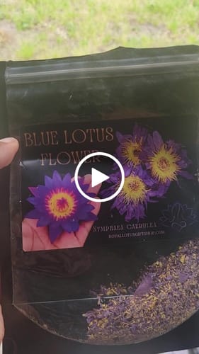 Customer video review of Grinded Blue Lotus Petals