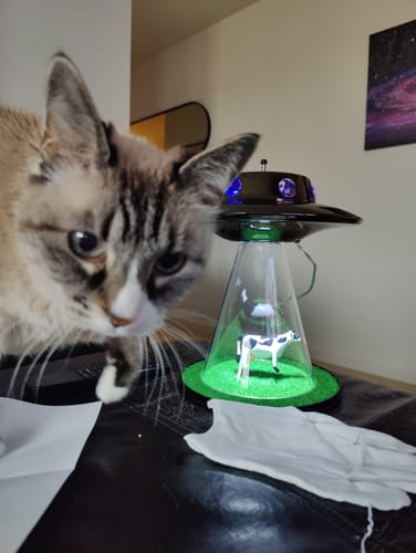 Customer photo review of The Original Alien Abduction Lamp