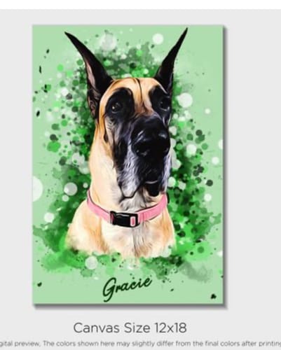 Customer photo review of Personalized Pet Art - Canvas