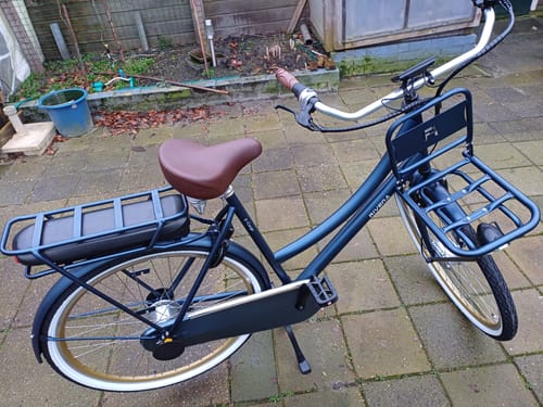 Customer photo review of E-Cargo N7